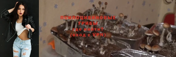 прущие грибы Алексин