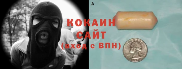 2c-b Гусев