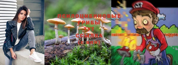 прущие грибы Алексин