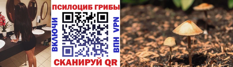 Псилоцибиновые грибы GOLDEN TEACHER  цена наркотик  Солигалич 